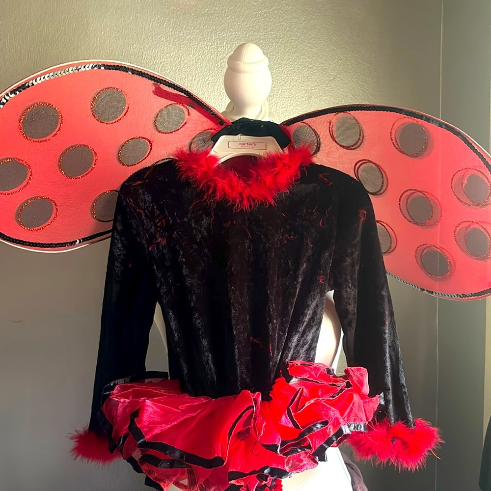 Ladybug Costume - Toddler